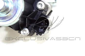 EGR Valve