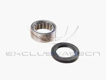 Wheel Bearing Kit (MWB-R2025)