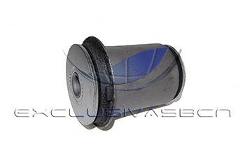 Mounting, control/trailing arm (MEM-8249)