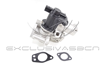 EGR Valve