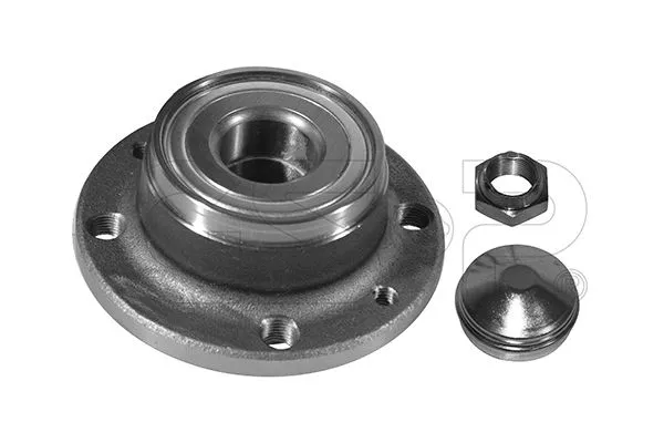Wheel Bearing Kit (GSP-9230063K)