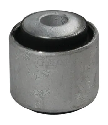 Mounting, control/trailing arm (GSP-531454)