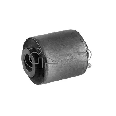 Mounting, control/trailing arm (GSP-516490)