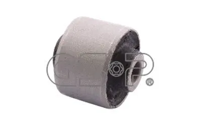 Mounting, control/trailing arm (GSP-519697)