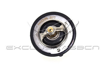 Thermostat, coolant