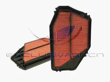 Air Filter (MAF-3495)