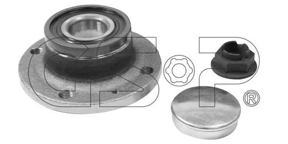 Wheel Bearing Kit (GSP-9230092S)