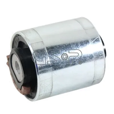 Mounting, control/trailing arm (GSP-510287)