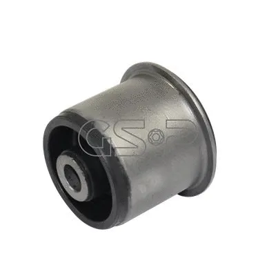 Mounting, differential (GSP-514924)