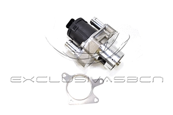 EGR Valve (EEG-MB09)
