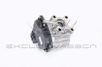 EGR Valve (EEG-TO09)