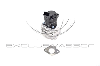 EGR Valve