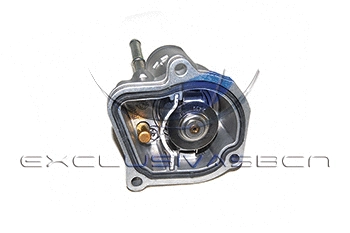 Thermostat, coolant