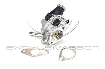 EGR Valve