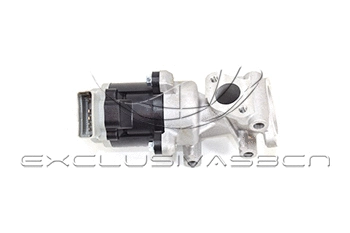 EGR Valve (EEG-CP08)