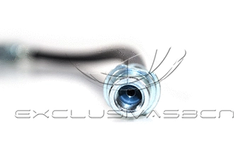 Holding Bracket, brake hose