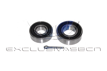 Wheel Bearing Kit (MWB-R8004)