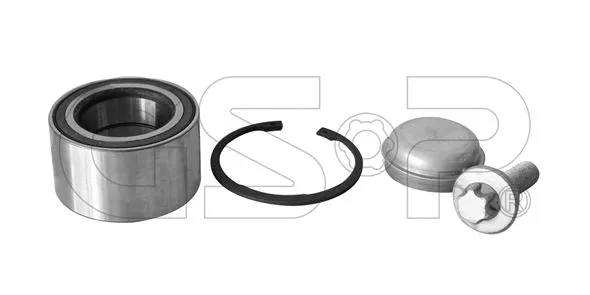 Wheel Bearing Kit (GSP-GK00X4)