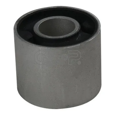 Mounting, control/trailing arm (GSP-531937)