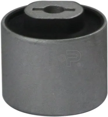 Mounting, control/trailing arm (GSP-519286)