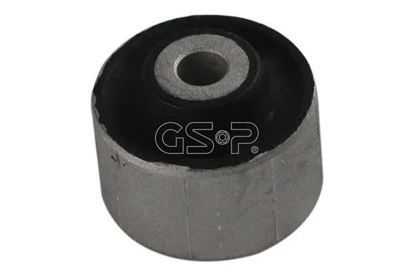 Mounting, control/trailing arm (GSP-510136)