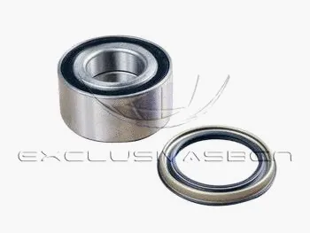 Wheel Bearing Kit (MWB-R1003)
