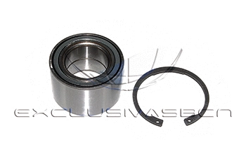 Wheel Bearing Kit (MWB-R5013)