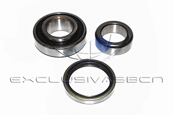 Wheel Bearing Kit (MWB-R2004)