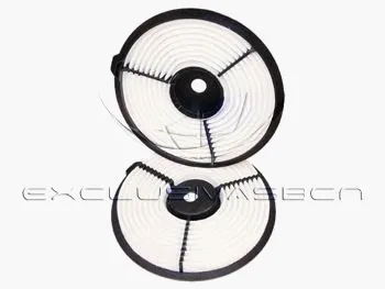 Air Filter (MAF-3813)