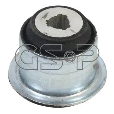 Mounting, control/trailing arm (GSP-510761)