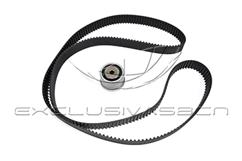Timing Belt Kit