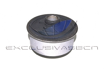 Mounting, control/trailing arm (MEM-8229)