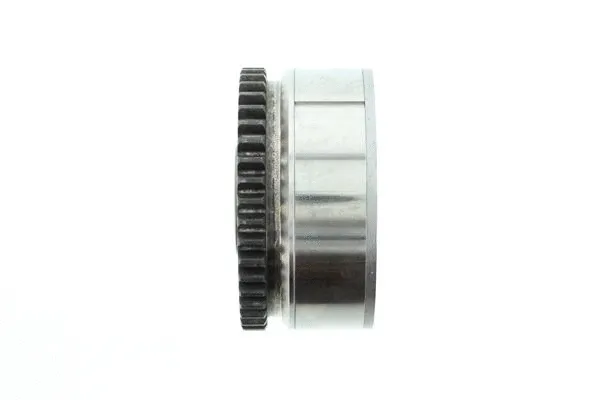 Actuator, exentric shaft (variable valve lift)