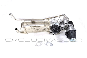 EGR Valve