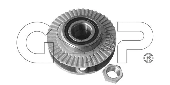 Wheel Bearing Kit (GSP-9230028K)