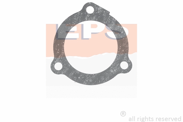 Seal, thermostat (EPS-1890 572)