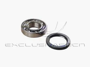 Wheel Bearing Kit (MWB-R8015)