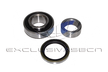 Wheel Bearing Kit (MWB-R2000)
