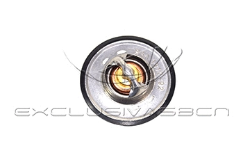 Thermostat, coolant