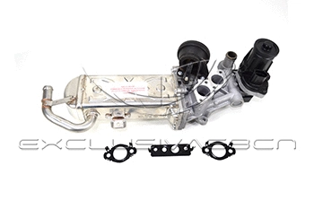 EGR Valve (EEG-VA10)
