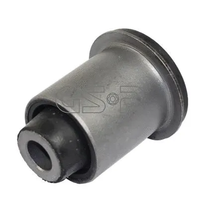 Mounting, control/trailing arm (GSP-516304)