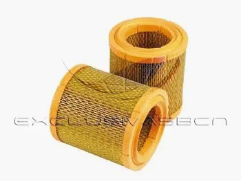 Air Filter (MAF-3003)