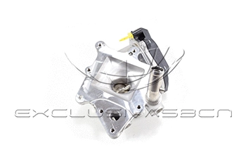 EGR Valve (EEG-AF10)