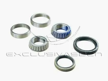 Wheel Bearing Kit (MWB-F6010)
