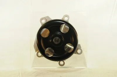 Water Pump, engine cooling (AIS-WPN117)