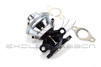 EGR Valve (EEG-AF08)
