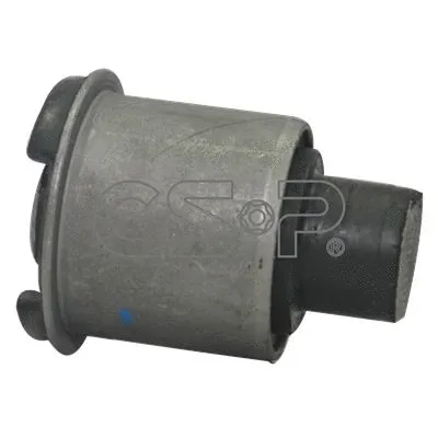 Mounting, control/trailing arm (GSP-517256)