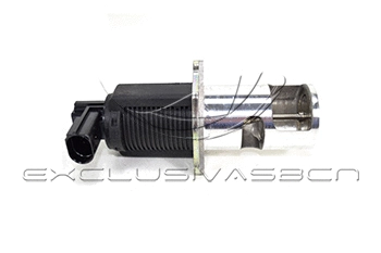 EGR Valve (EEG-NR20)