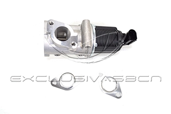 EGR Valve (EEG-AF12)