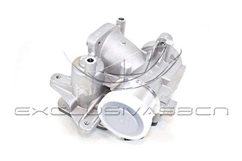 EGR Valve